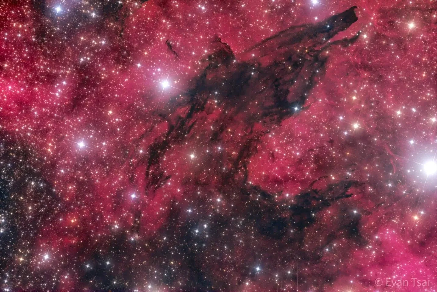 以雙峰濾鏡強化的野狼星雲(Wolf Nebula)成果
