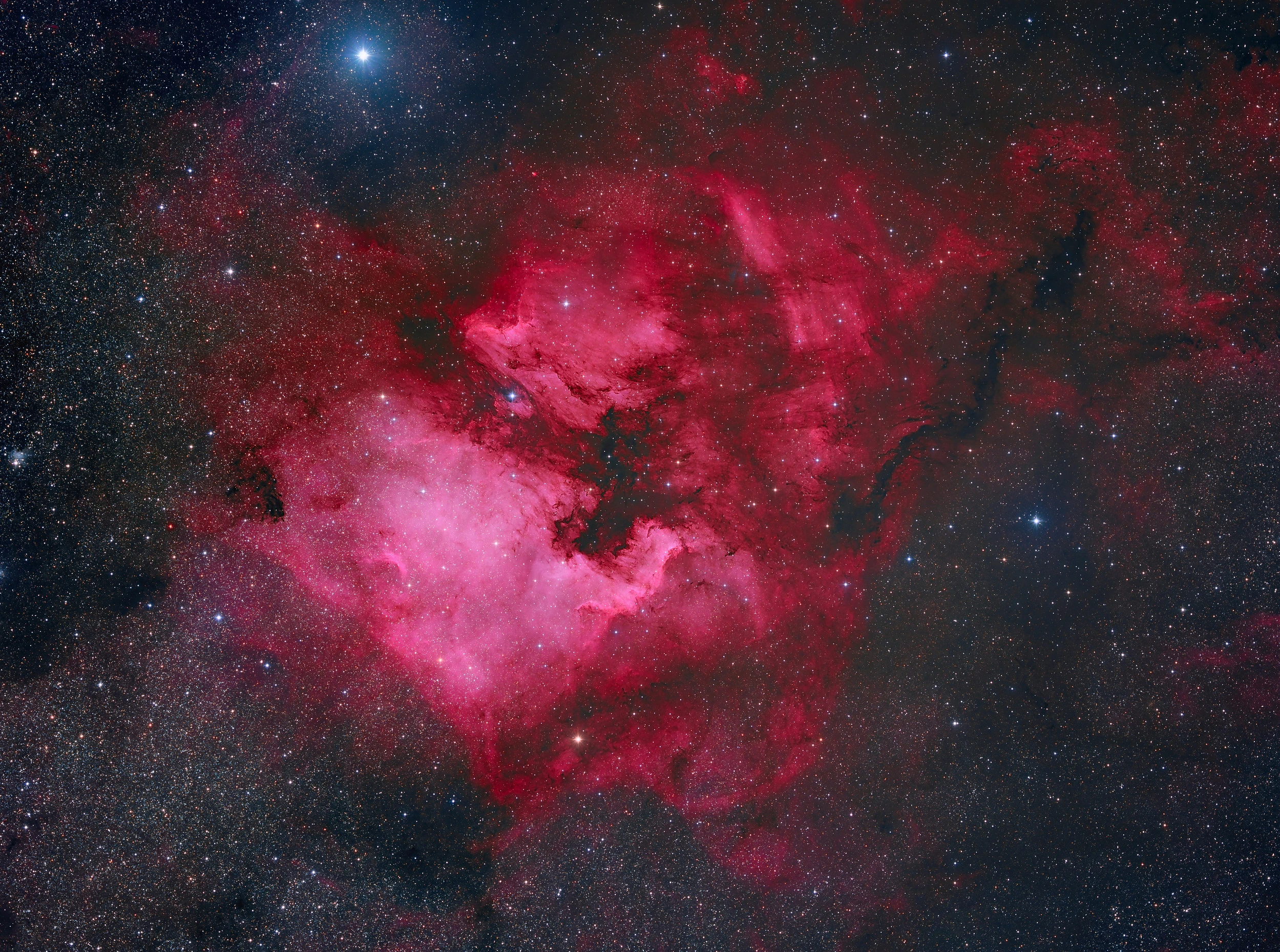 Alien's head