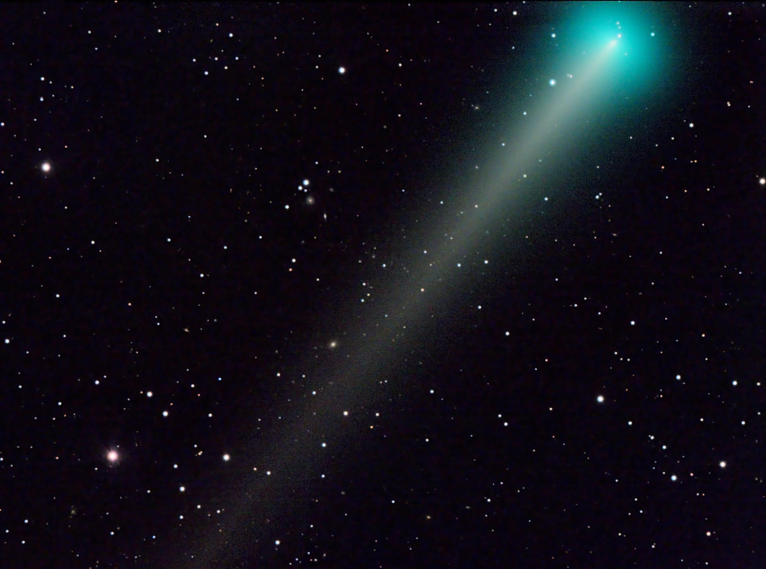 C/2021 A1