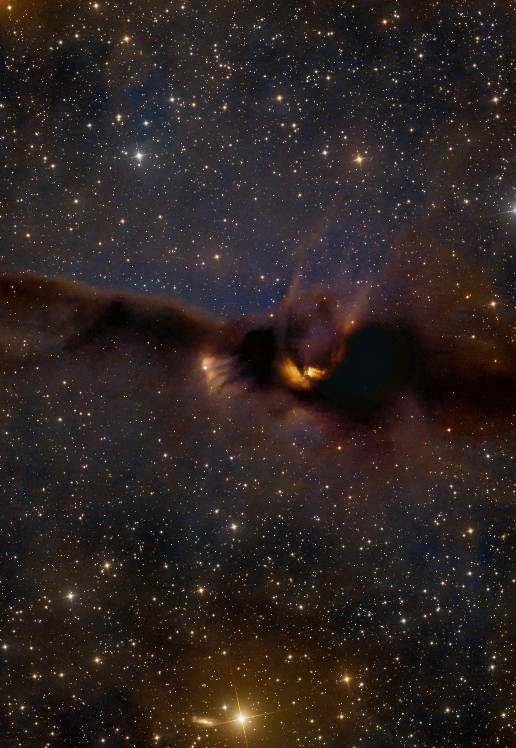 LDN 43 Bat Nebula
