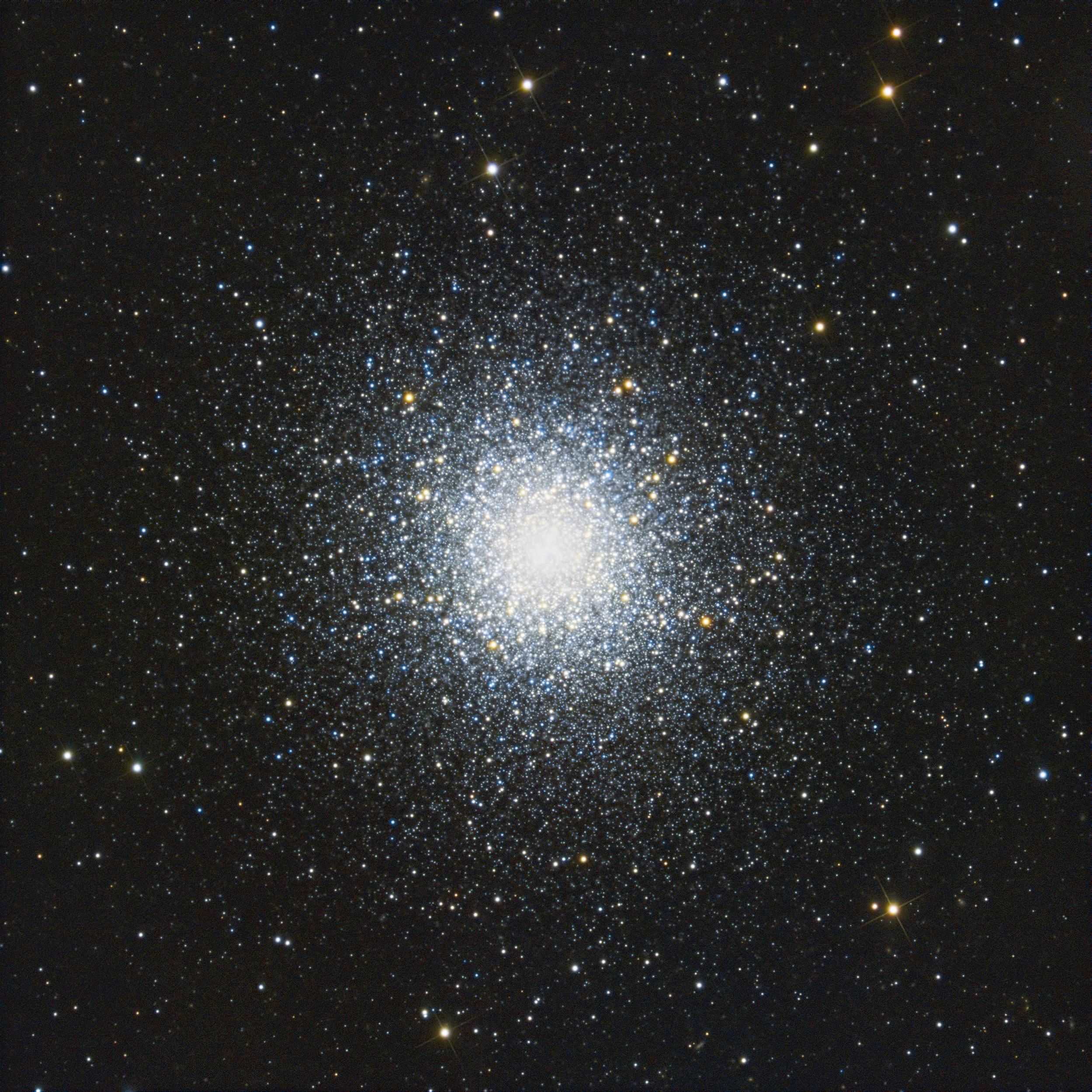 M13