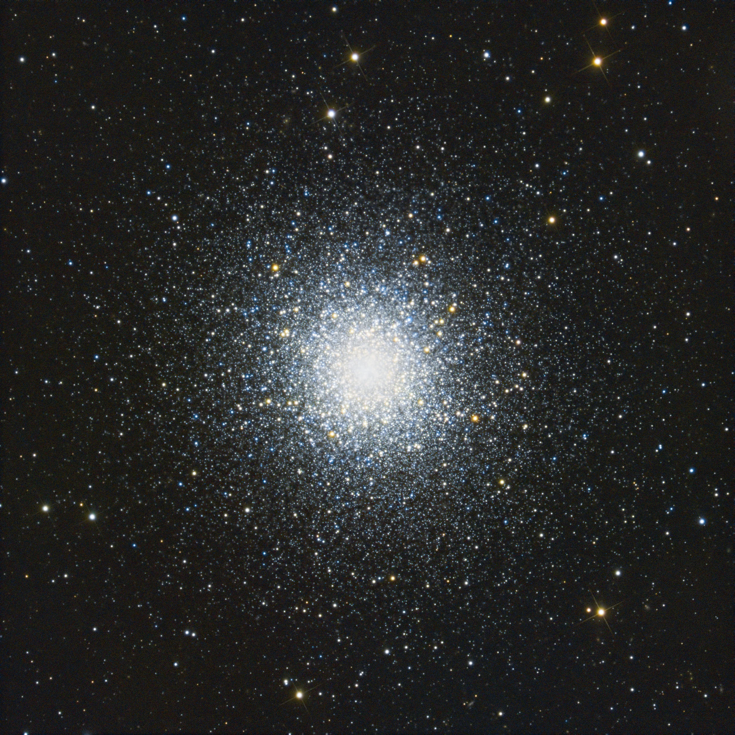 M13