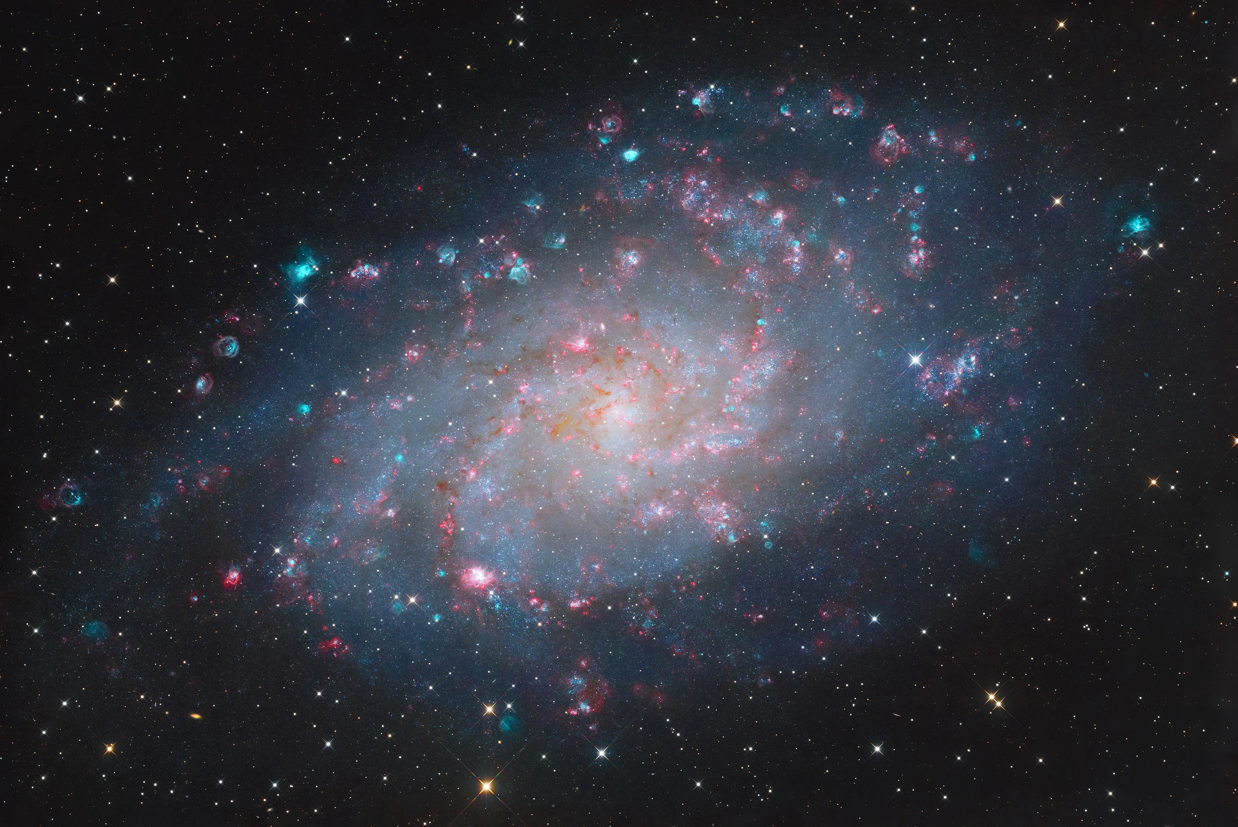 M33