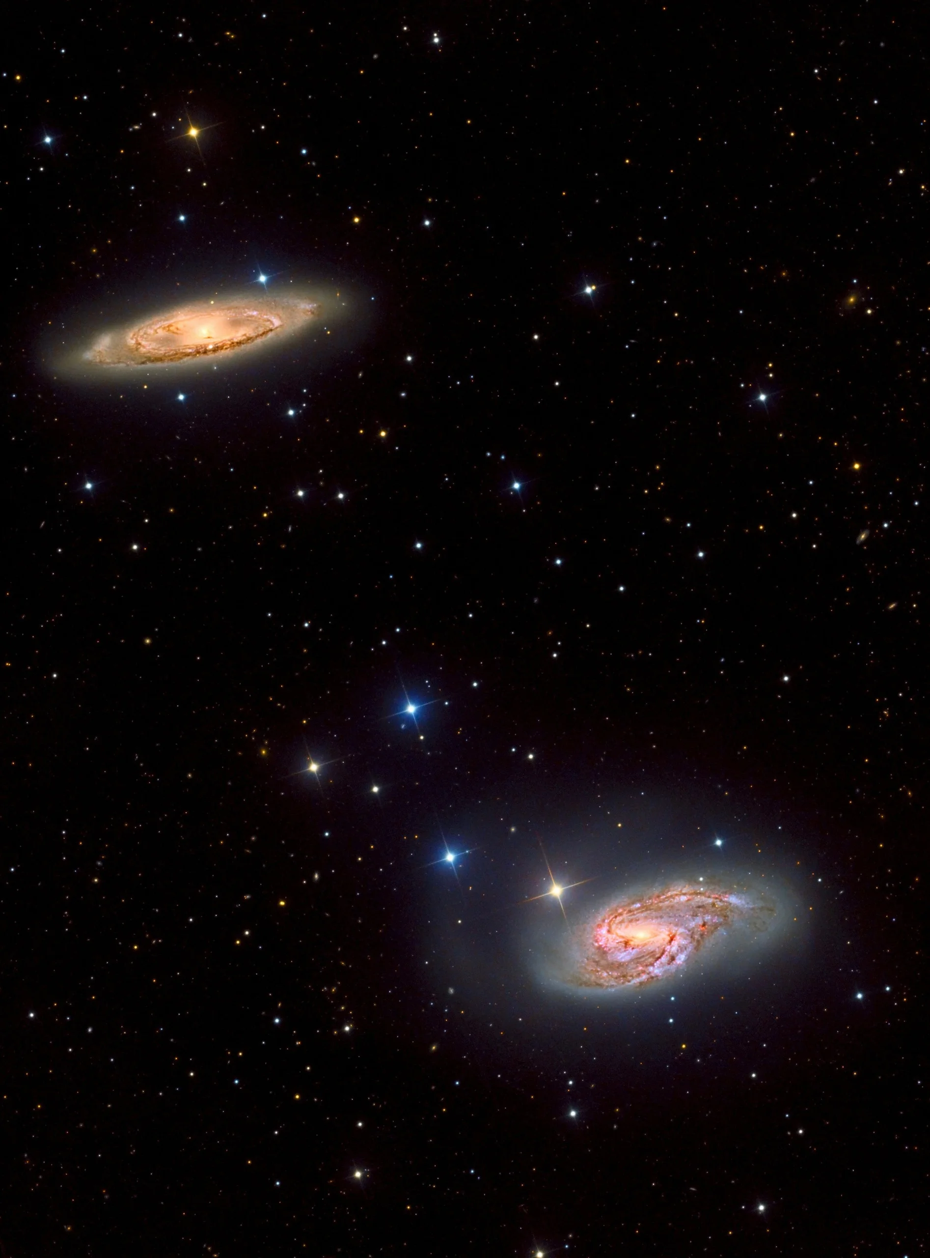 M65 & M66