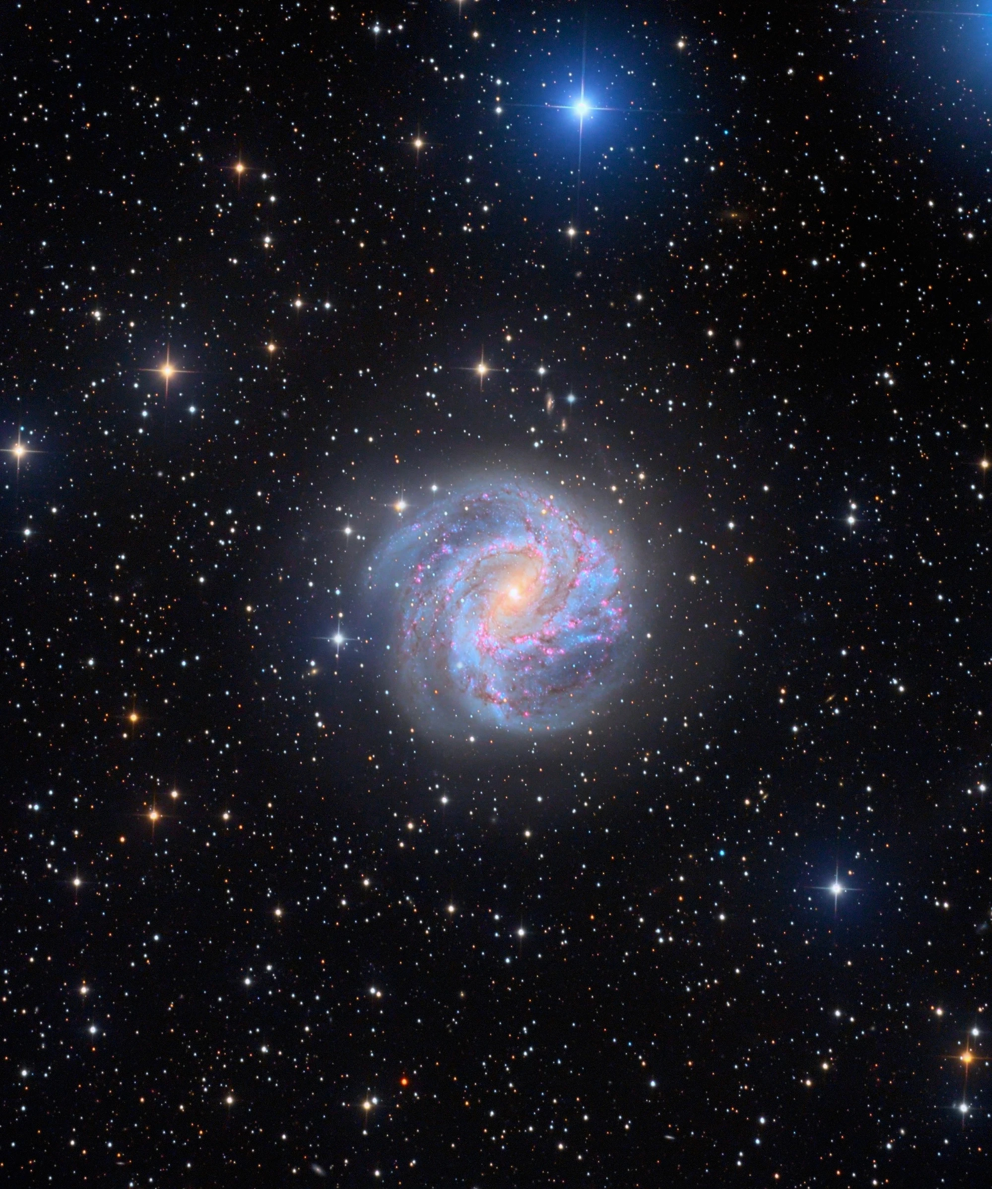 M83