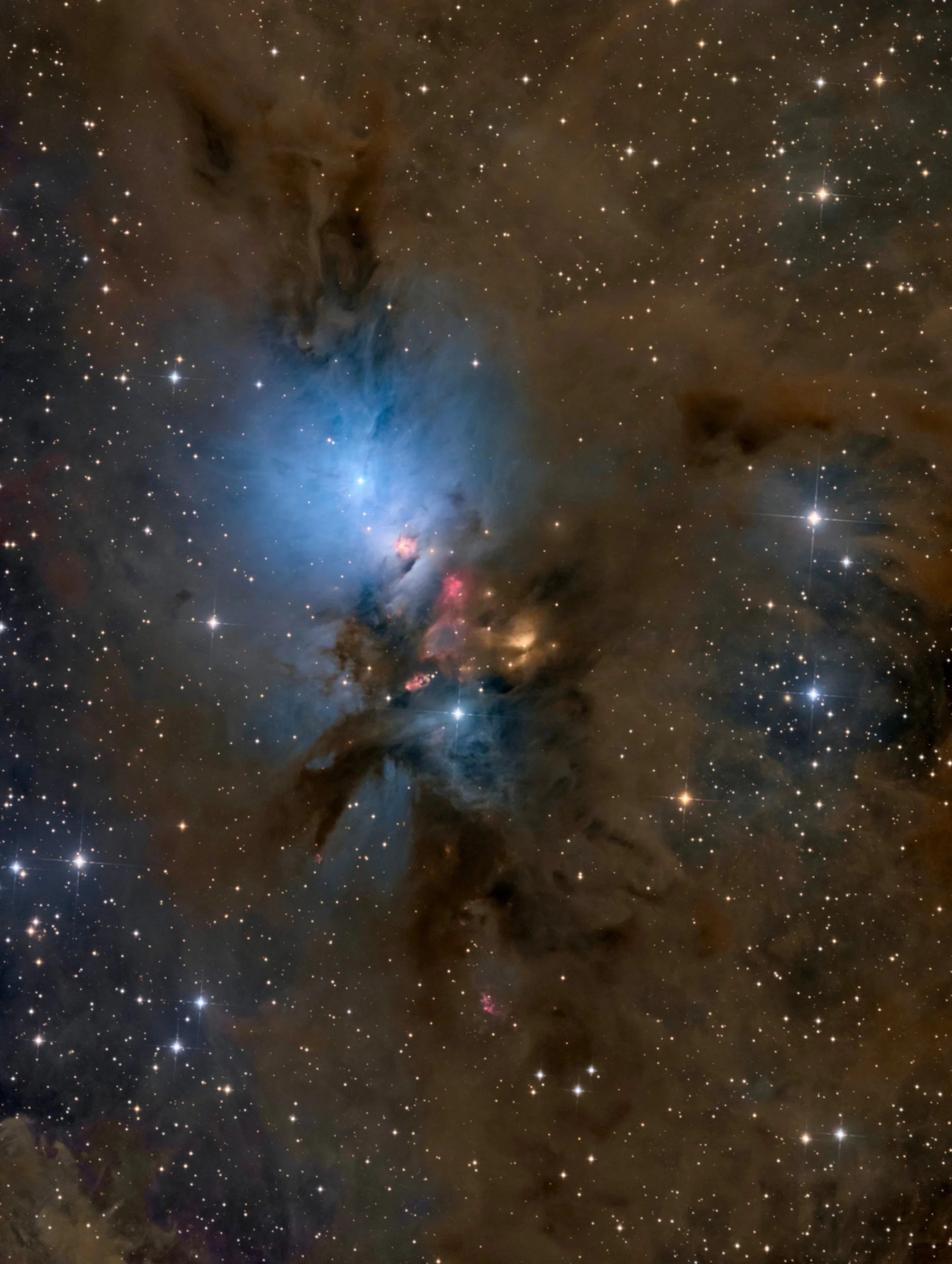 NGC 1333 Embryo of the Stars