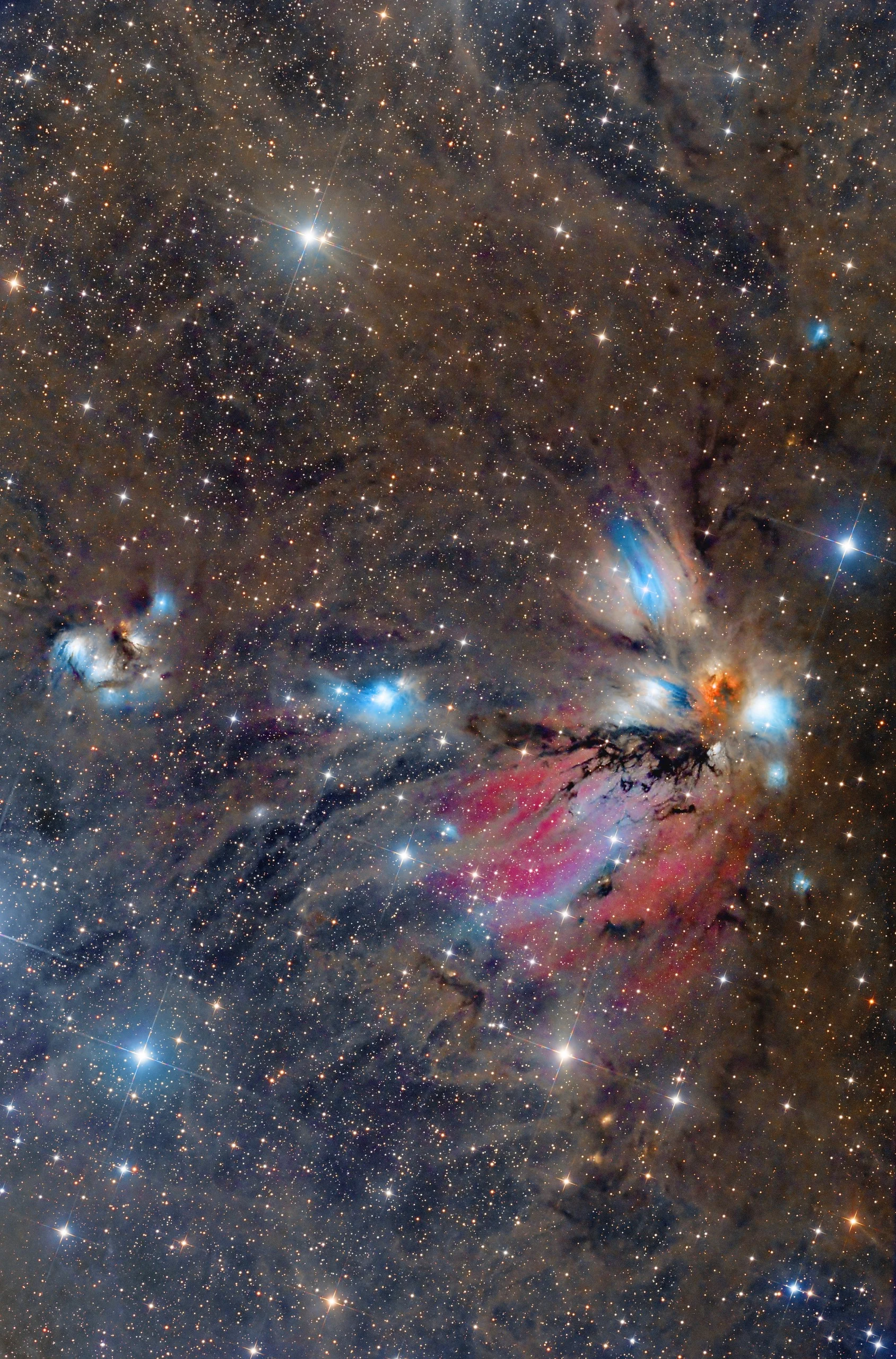 NGC 2170 Angel Nebula