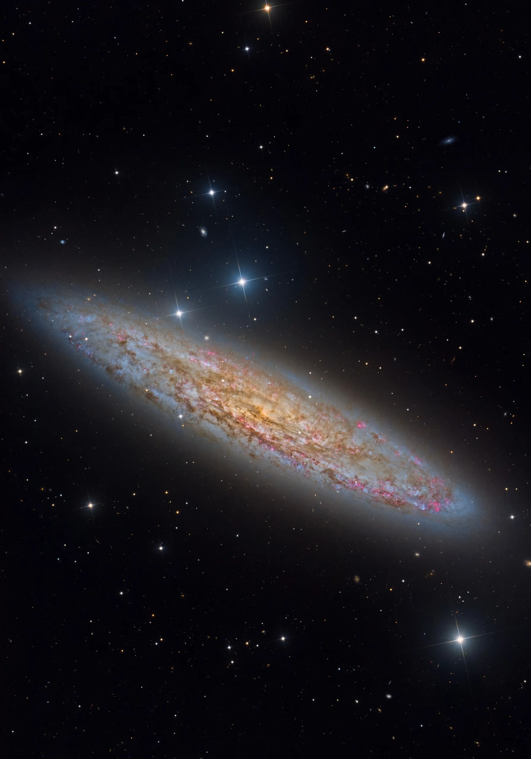 NGC 253 The Sculptor Galaxy