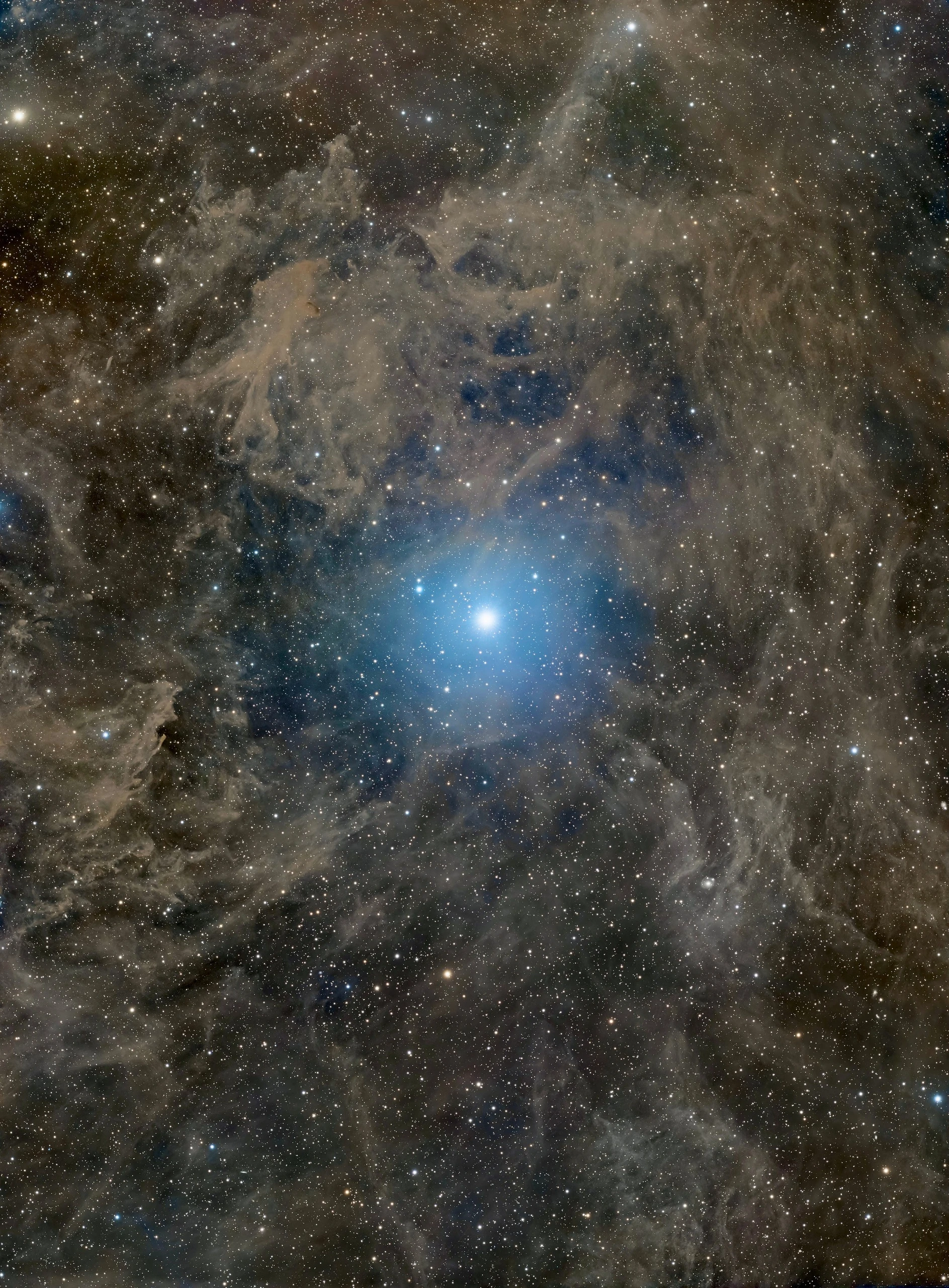 Polaris and IFN