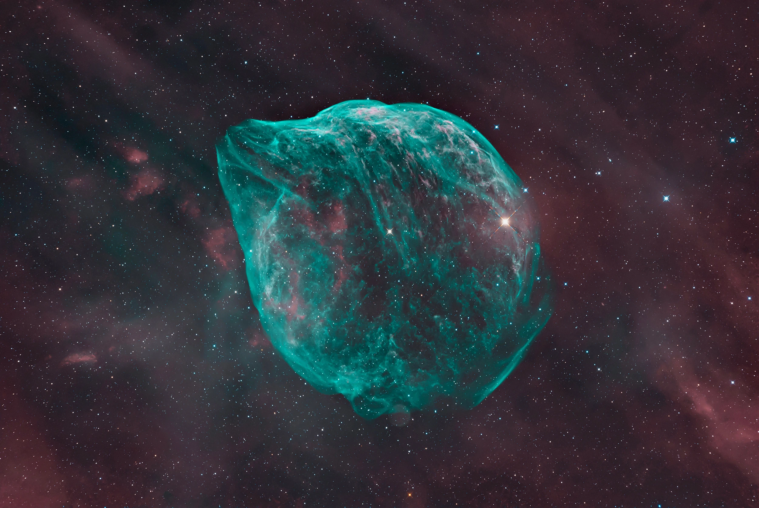 SH2-308 Dolphin Nebula