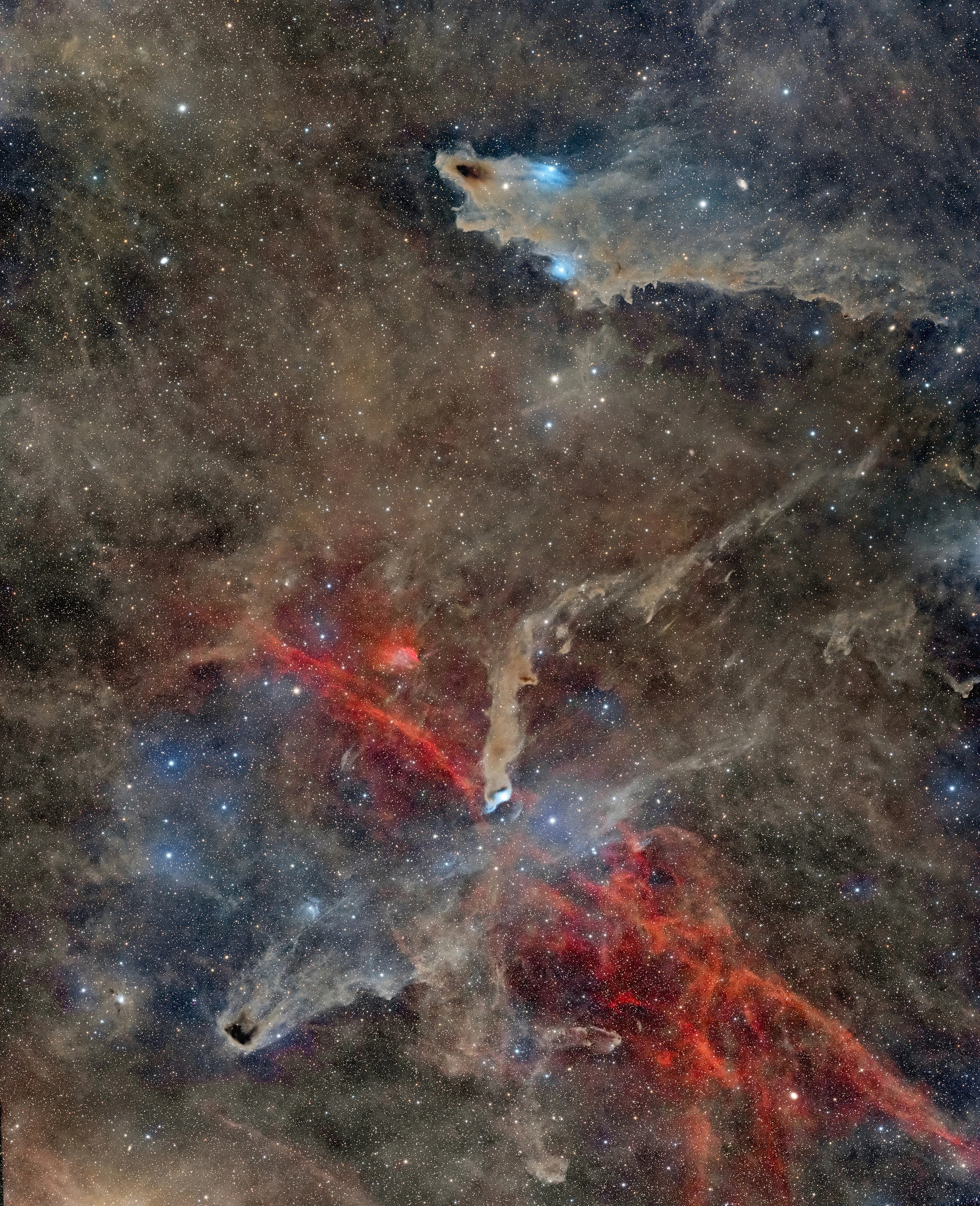 Wide-field image of the Dark Shark Nebula