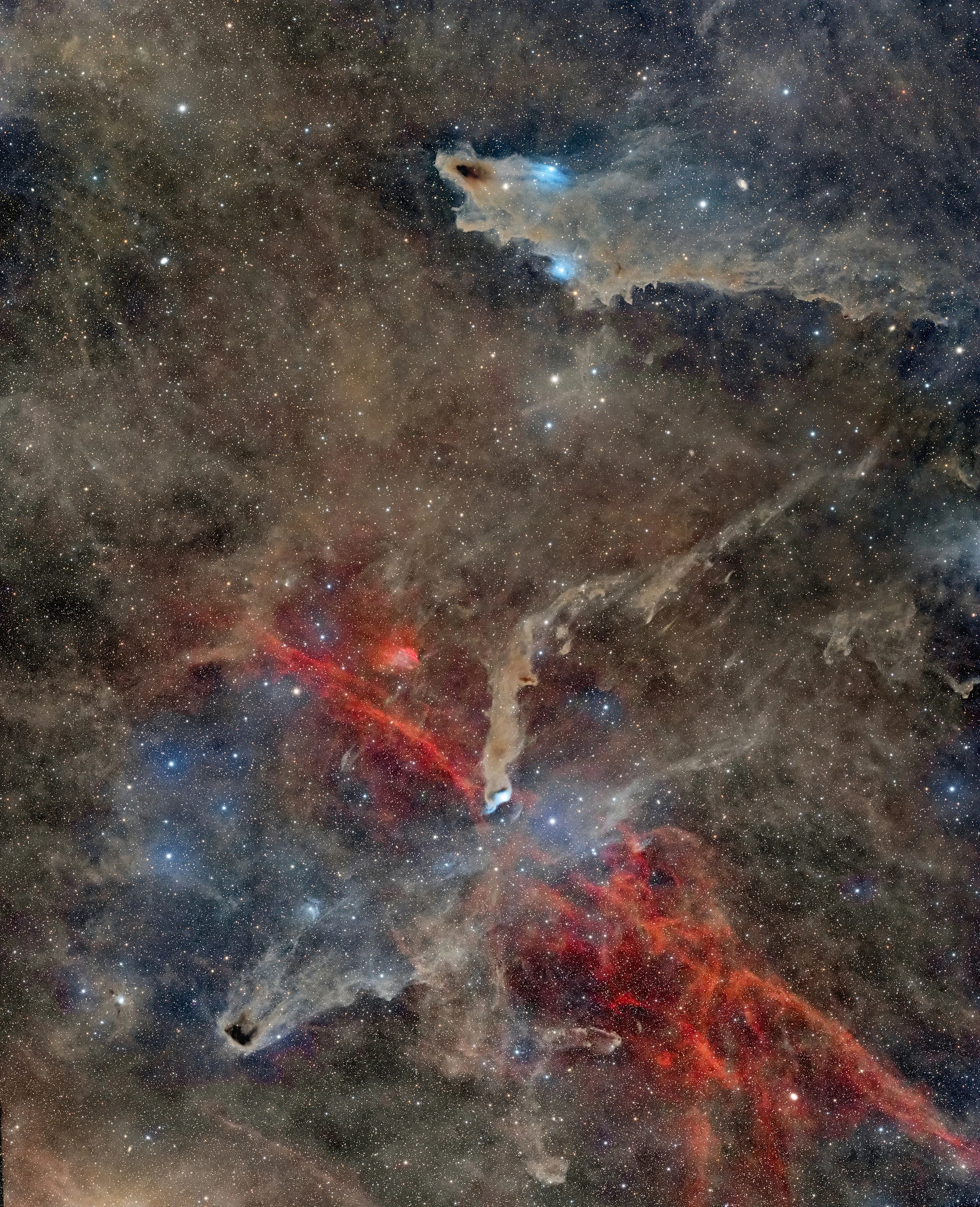 Wide-field image of the Dark Shark Nebula